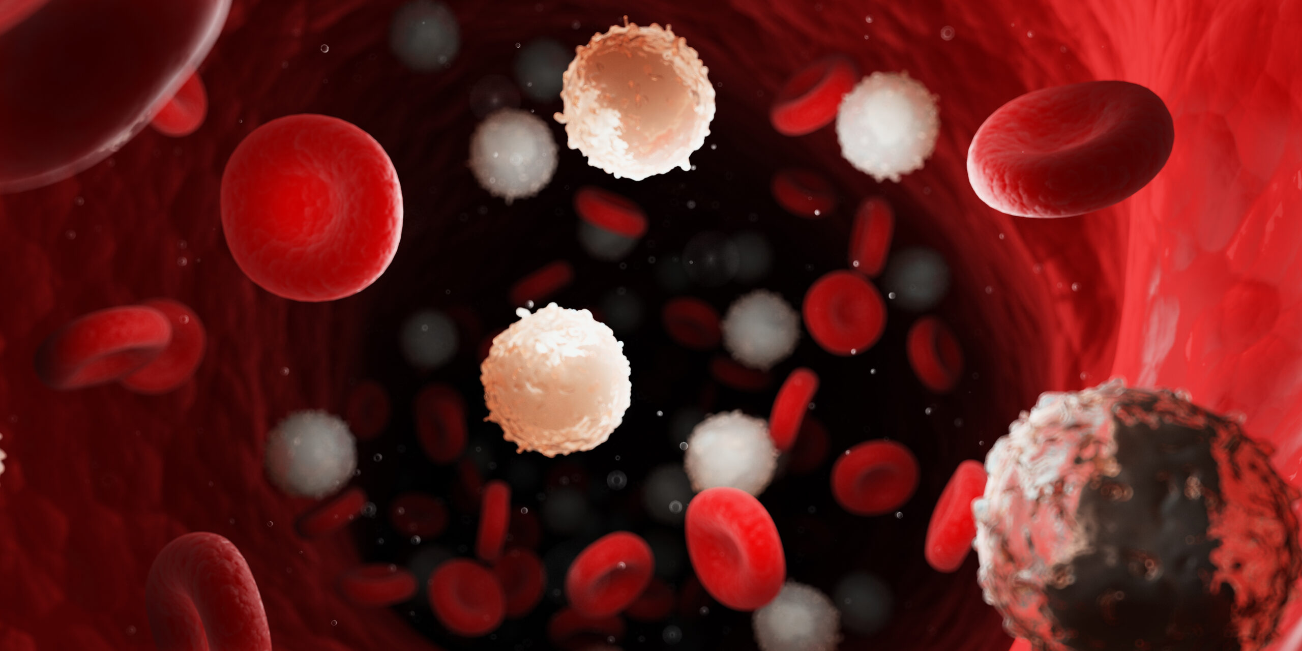 blood cells leukemia